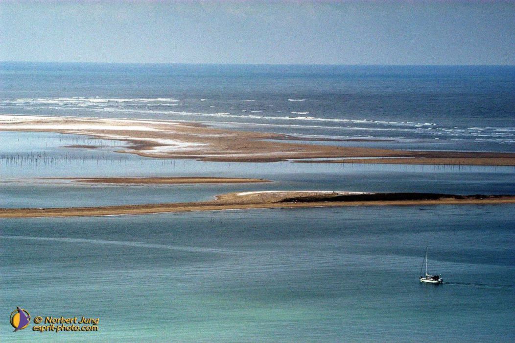 Nom de l'image : D1112036-02_(c)Norbert-JUNG — Description :